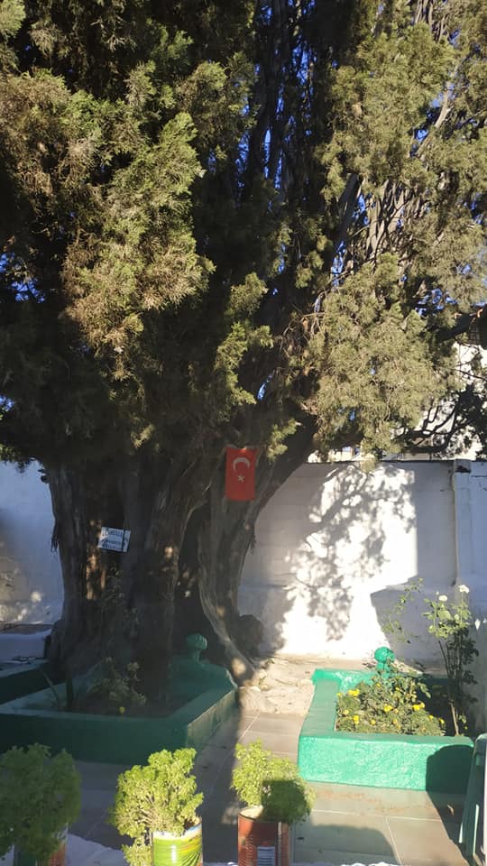 Cübbeli Ahmet Hocaefendi, Üçler Dede olarak zikredilen kabr-i şerîfleri ziyaret etti