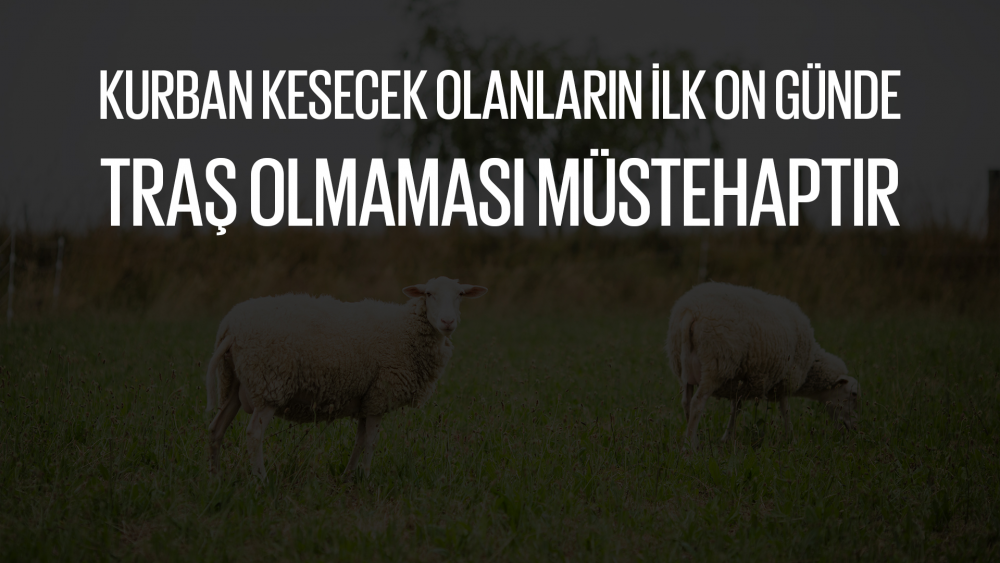 Kurban Kesecek Olanların İlk On Günde Traş Olmaması Müstehaptır